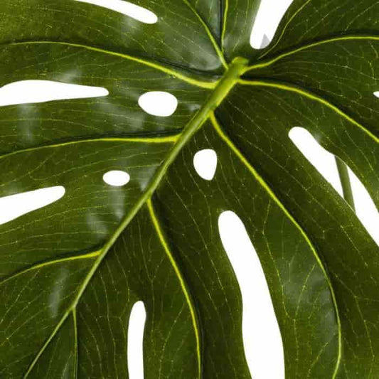 Vara monstera plastico pe 27 x 78 cm