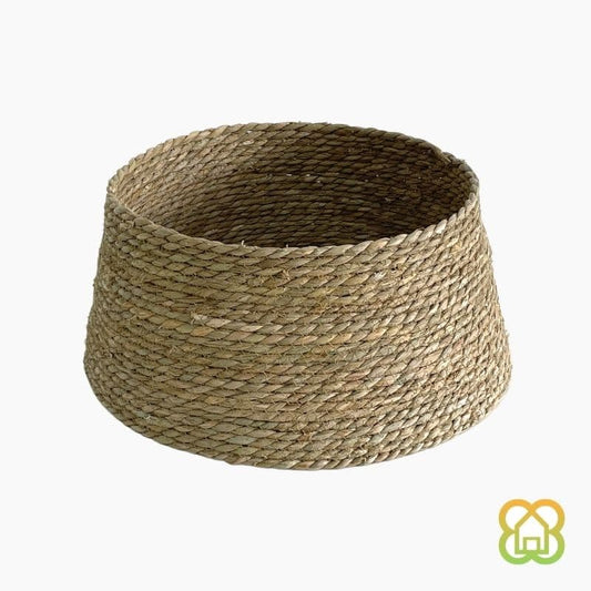 Pie De Pino Natural Alga