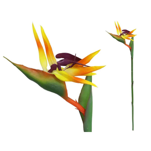 Vara ave del paraiso latex-94 cm