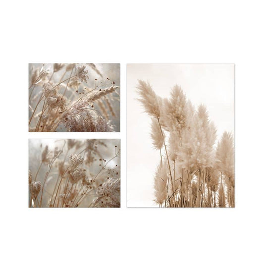 Set 3 Lienzos 30x40 Espigas