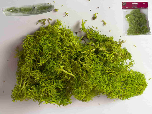 Musgo verde 25gr