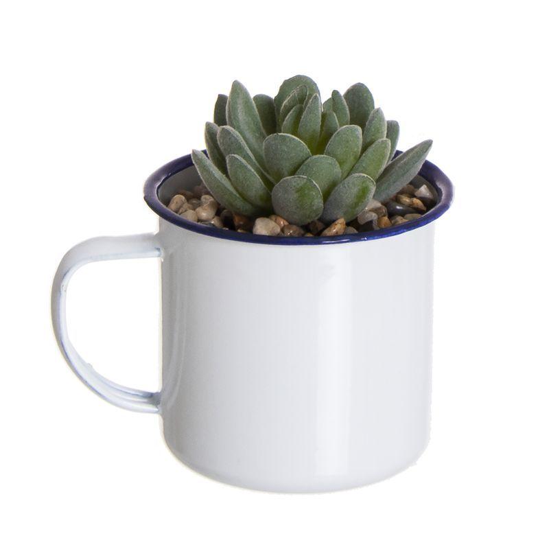 Cactus en Maceta Mug Laton M