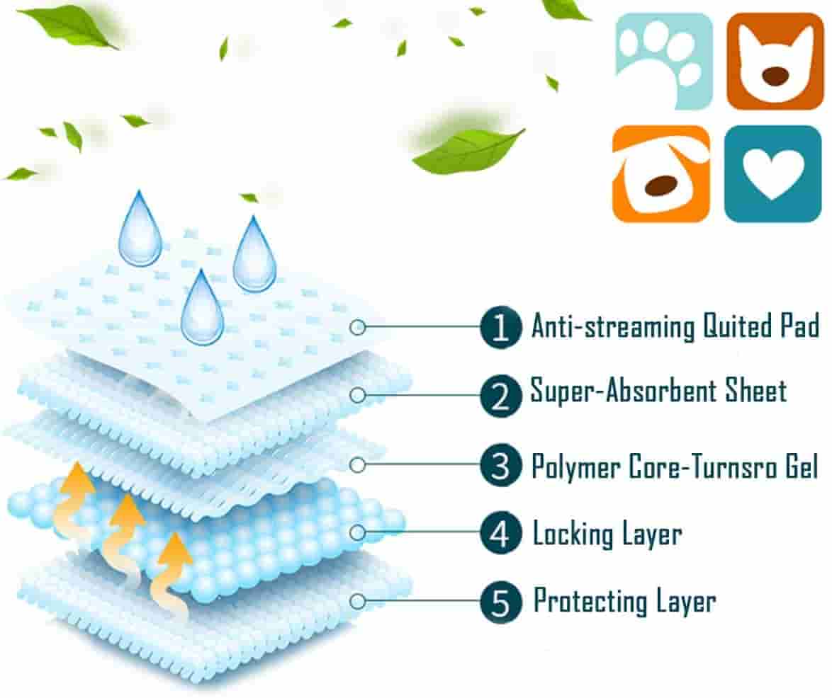 Empapadores de entrenamiento para perros 60X60 cm | 10 Pzs