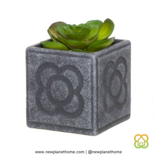 Cactus Maceta Panot L 10x10x10 cm