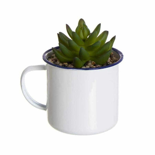 Cactus en Maceta Mug Laton L