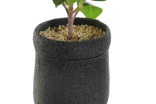 Planta pvc eva 23x18x37 rosal rojo