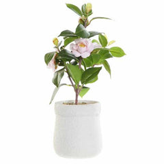 Planta pvc eva 23x18x38 rosal rosa palo